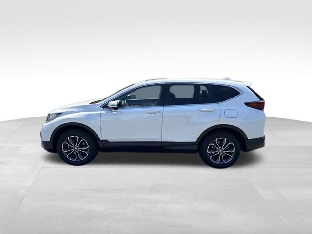 Used 2022 Honda CR-V EX-L image 5