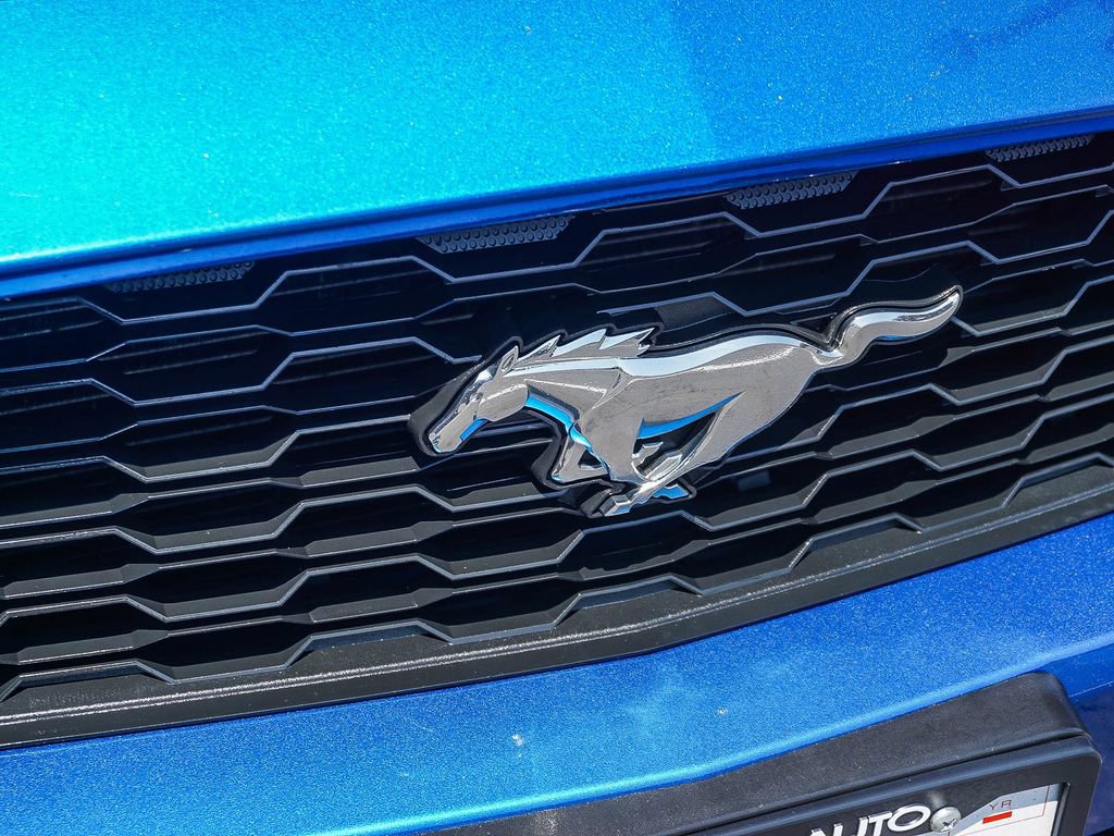 Used 2017 Ford Mustang Premium RWD image 11