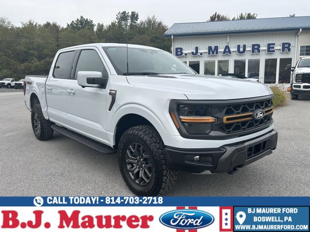 New 2025 Ford F150 Tremor image 1