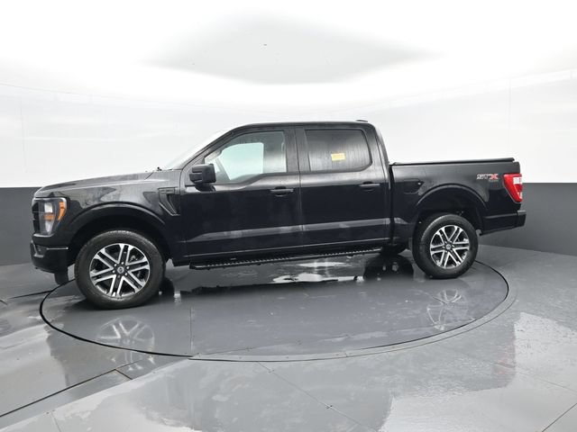 Used 2023 Ford F150 XL w/ STX Appearance Package AWD/4WD image 5