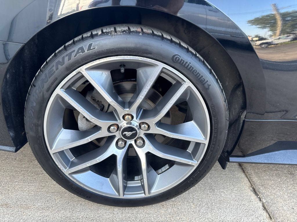 Used 2015 Ford Mustang Premium w/ Equipment Group 201A RWD image 39