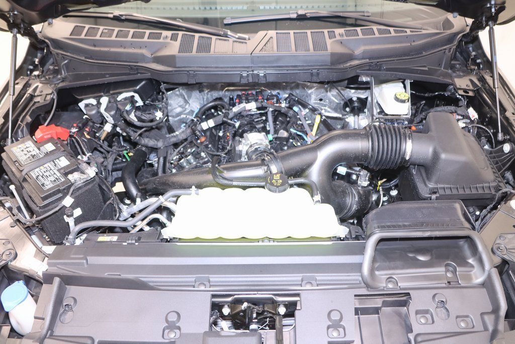 New 2025 Ford F150 XLT w/ Equipment Group 303A High image 32