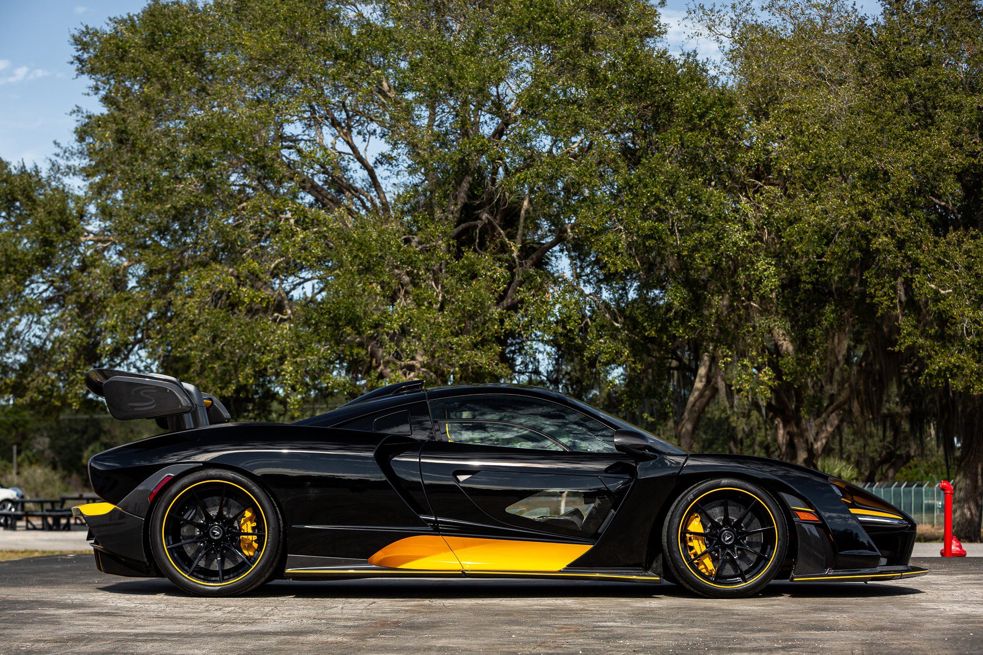 Used 2019 McLaren Senna image 38