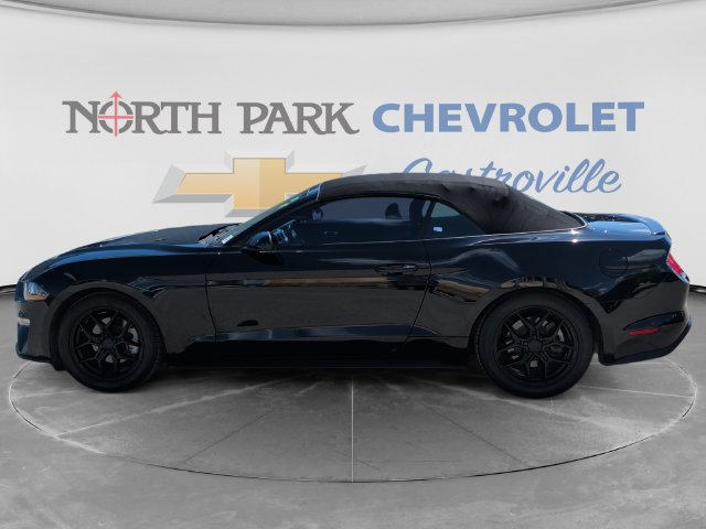 Used 2022 Ford Mustang Premium RWD image 6