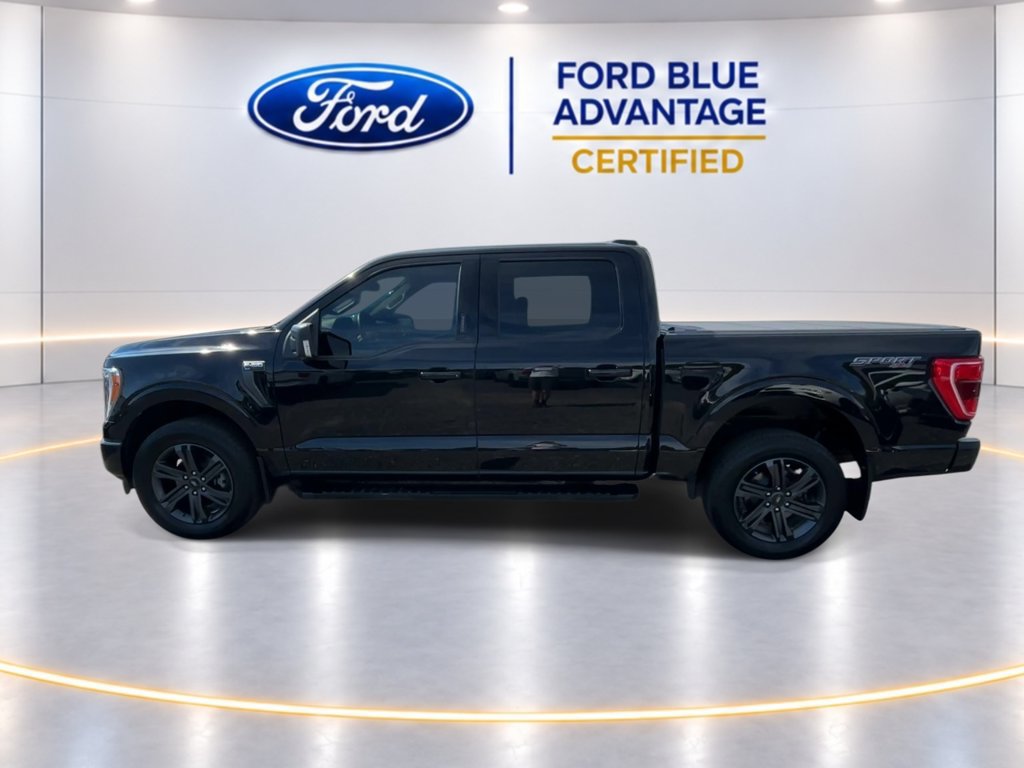 Certified 2023 Ford F150 XLT w/ Equipment Group 302A High AWD/4WD image 6