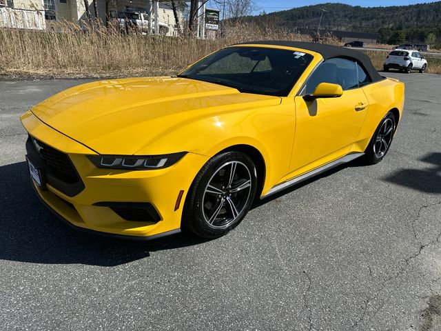 Used 2024 Ford Mustang Premium RWD image 2