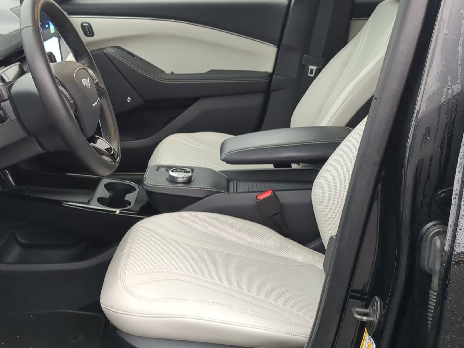 Used 2021 Ford Mustang Mach-E Premium image 20