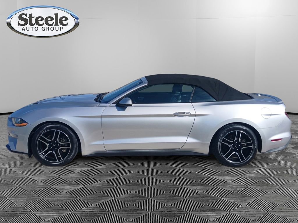 Used 2019 Ford Mustang Premium image 2