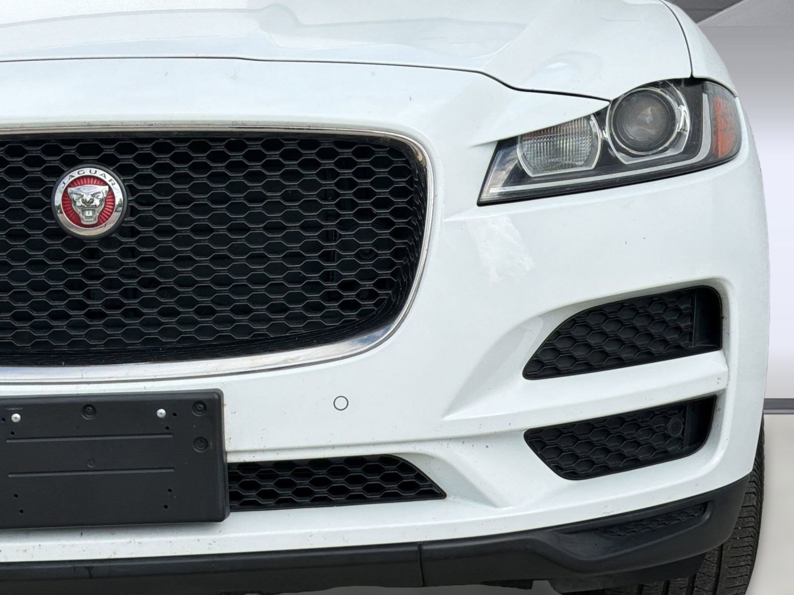 Used 2019 Jaguar F-PACE Premium AWD/4WD image 11