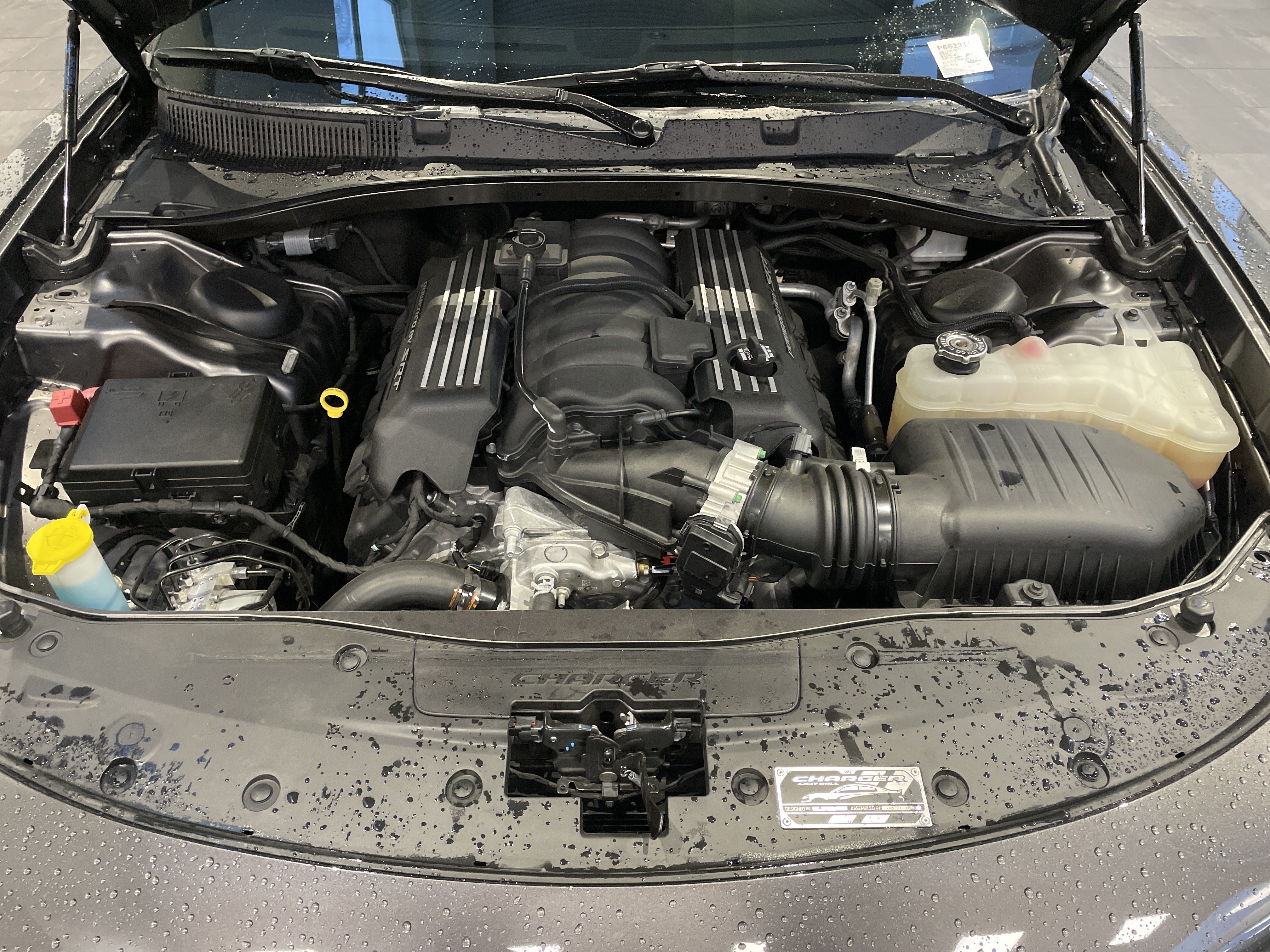 Used 2023 Dodge Charger Scat Pack RWD image 44