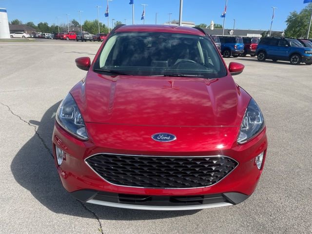 Used 2020 Ford Escape SEL image 3