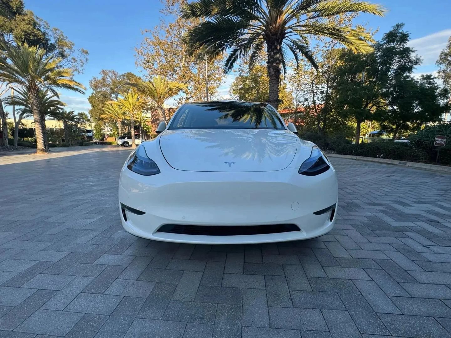 Used 2022 Tesla Model Y Long Range AWD/4WD image 2