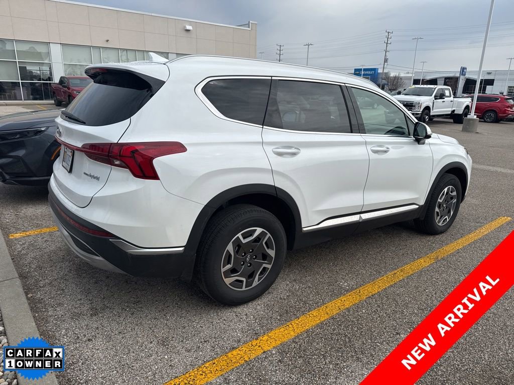 Used 2023 Hyundai Santa Fe Blue AWD/4WD image 3