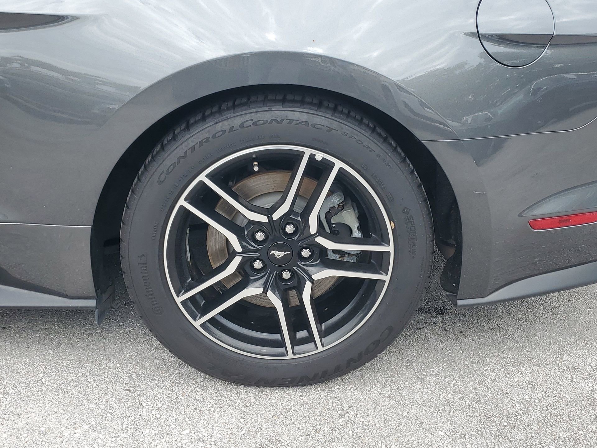 Used 2019 Ford Mustang GT Premium w/ Equipment Group 401A image 7