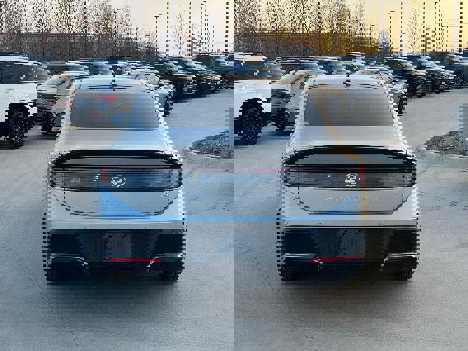 Used 2024 Hyundai Sonata Limited image 11