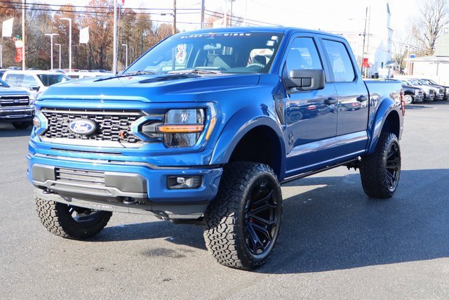 New 2025 Ford F150 STX w/ Equipment Group 200A image 14