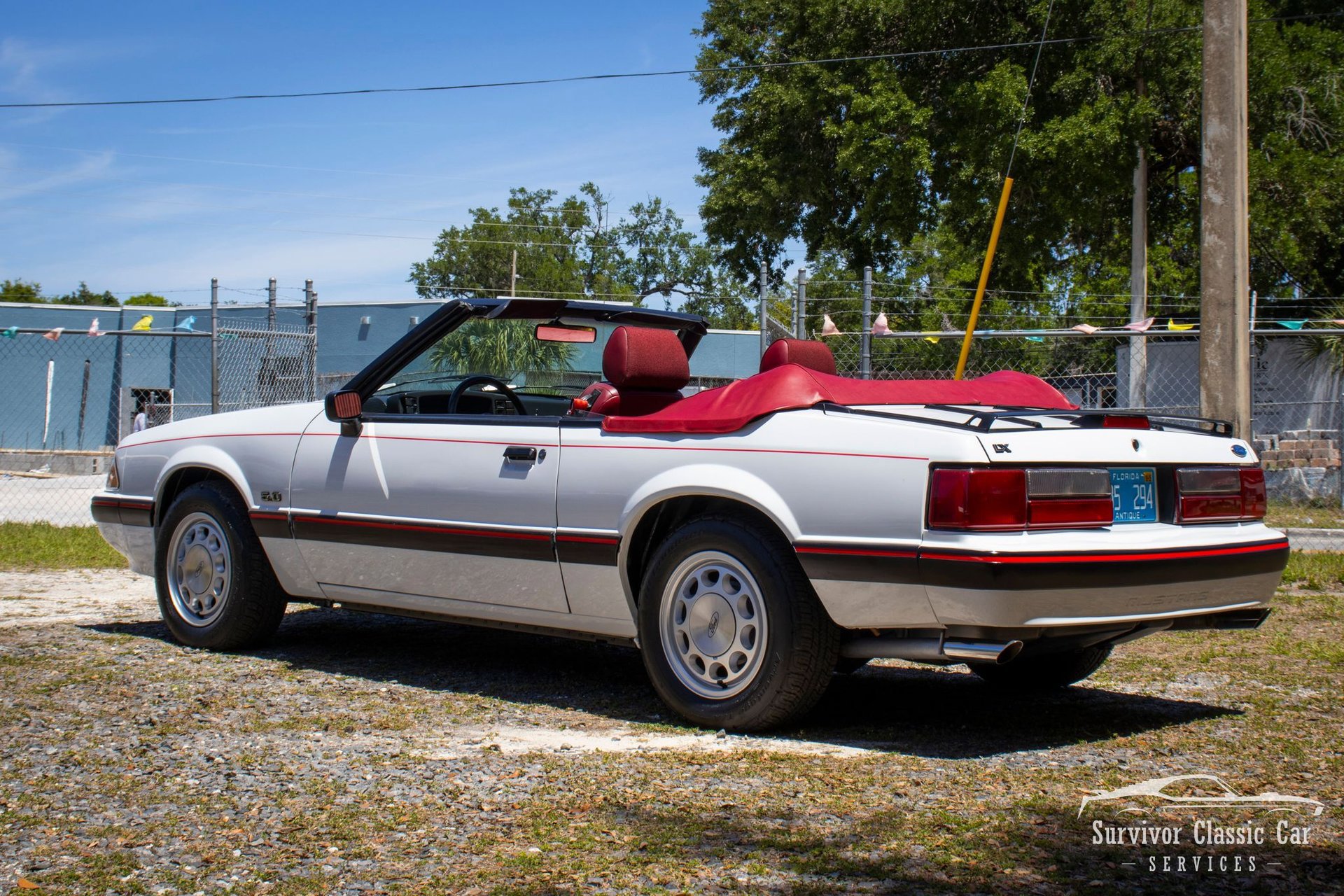 Used 1989 Ford Mustang LX RWD image 6