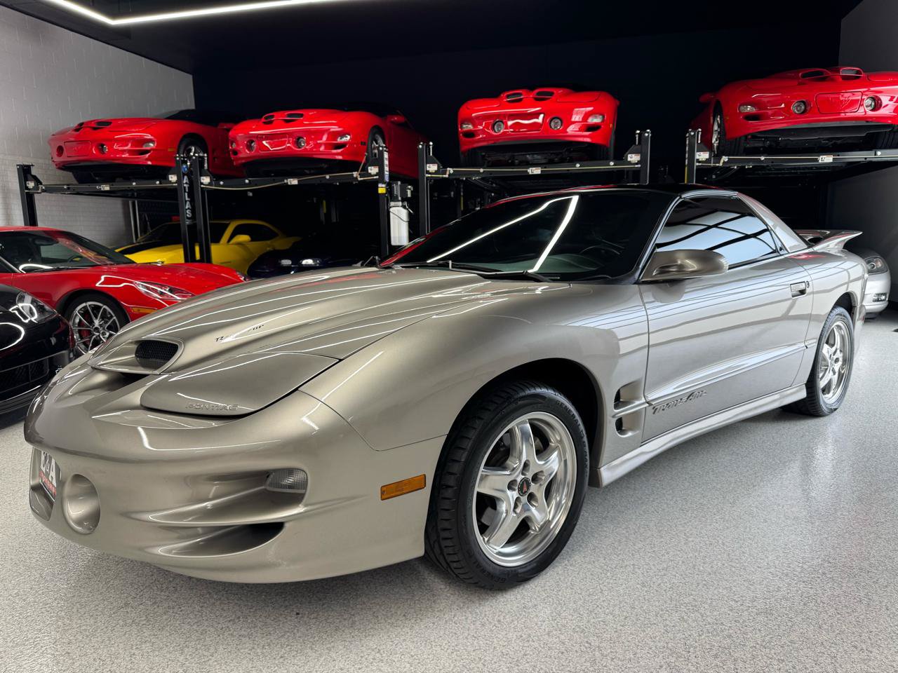 Used 2001 Pontiac Firebird Trans Am w/ SLP Firehawk Pkg RWD image 4