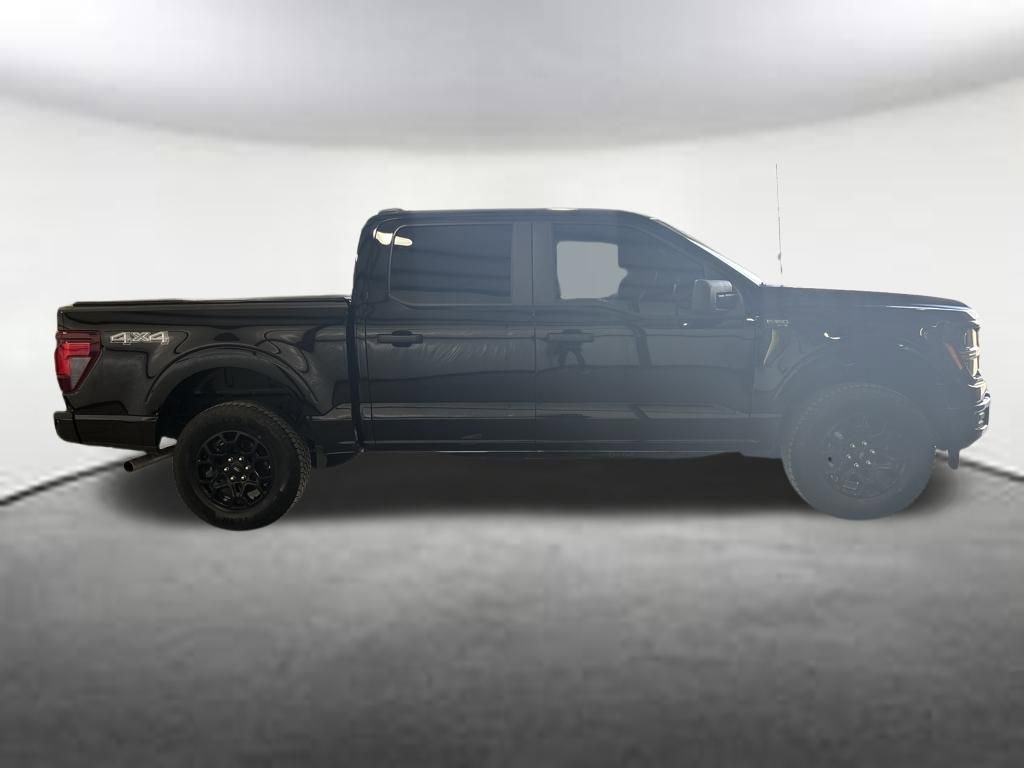 Used 2025 Ford F150 STX image 6