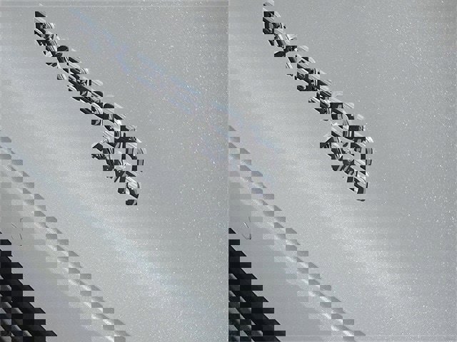 New 2026 Lexus RX 350h image 4