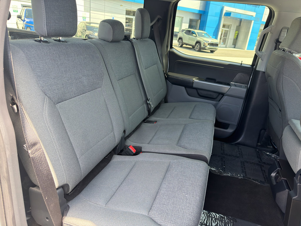 Used 2025 Ford F150 XLT w/ Equipment Group 301A Standard AWD/4WD image 13