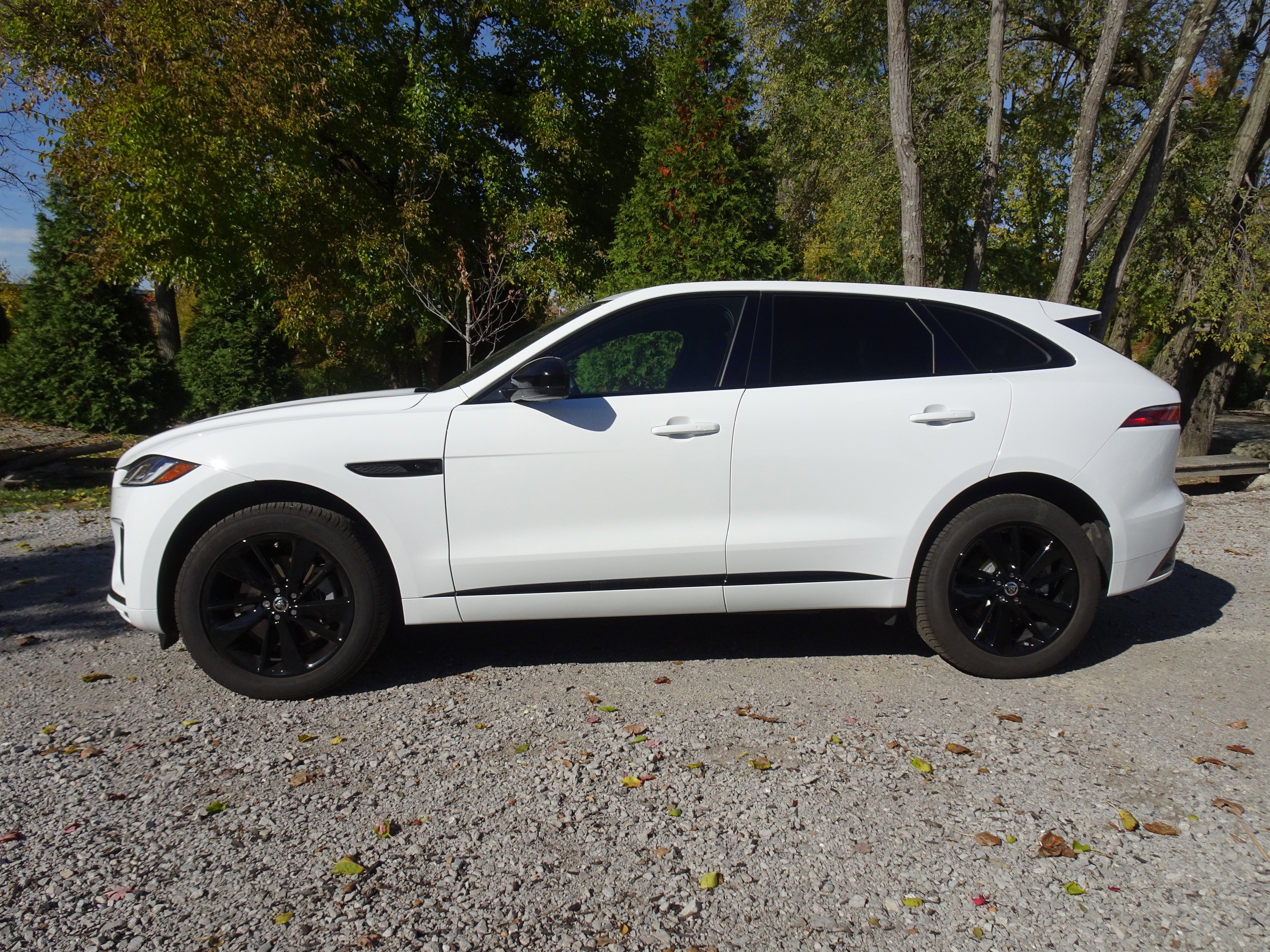 Certified 2025 Jaguar F-PACE R-Dynamic S image 8