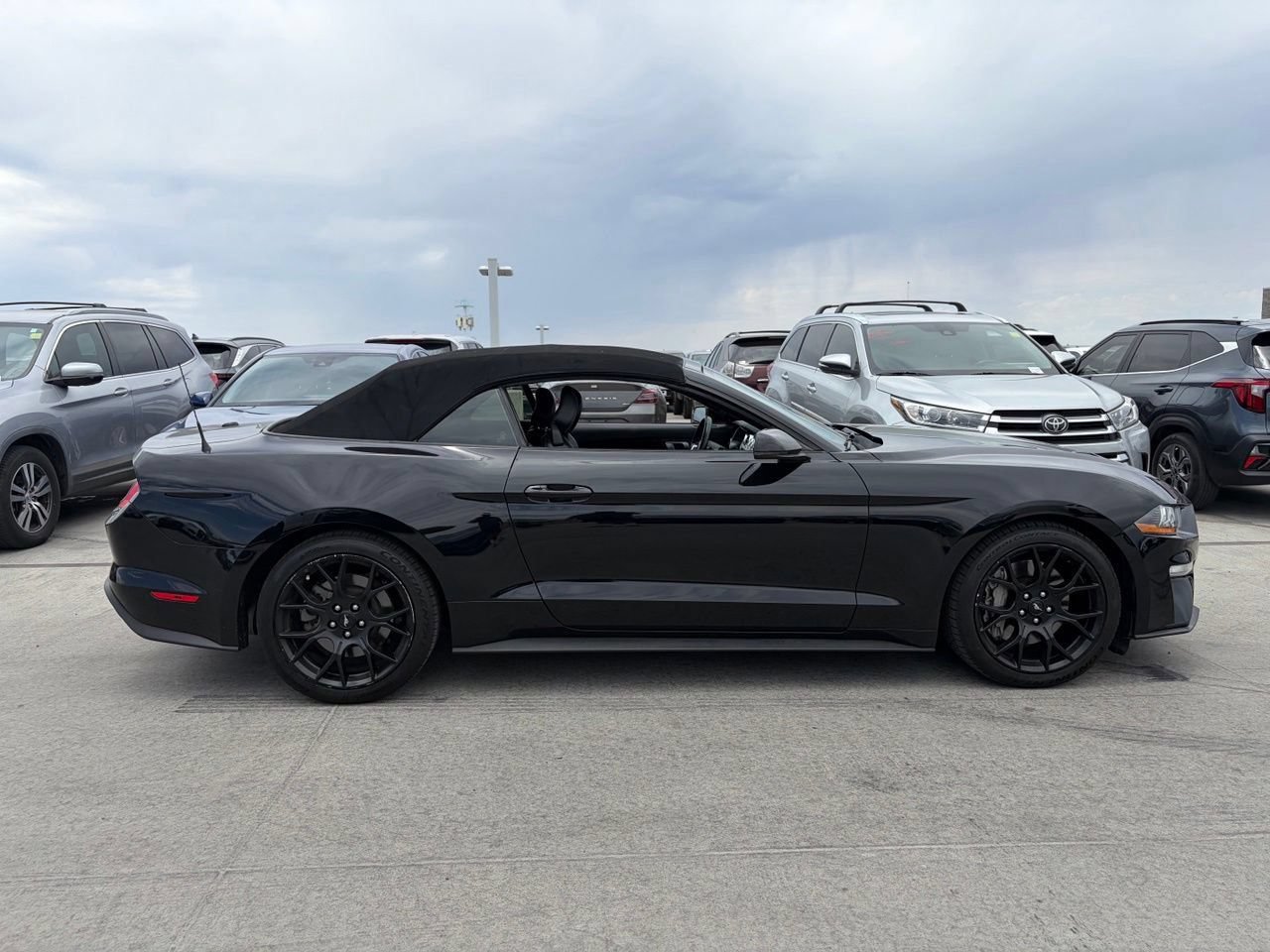 Used 2019 Ford Mustang Premium w/ Ecoboost Performance Package RWD image 3