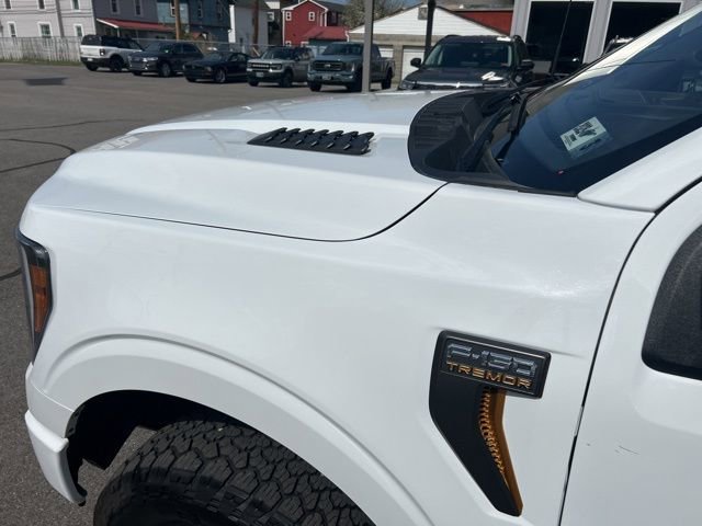 Used 2023 Ford F150 Tremor image 6