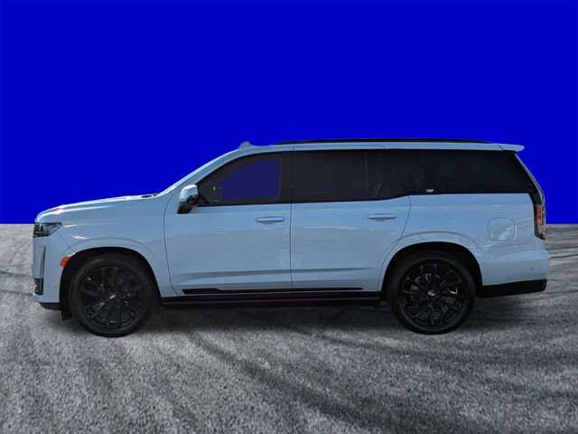 Used 2023 Cadillac Escalade Sport Platinum w/ LPO, ONYX Package image 7