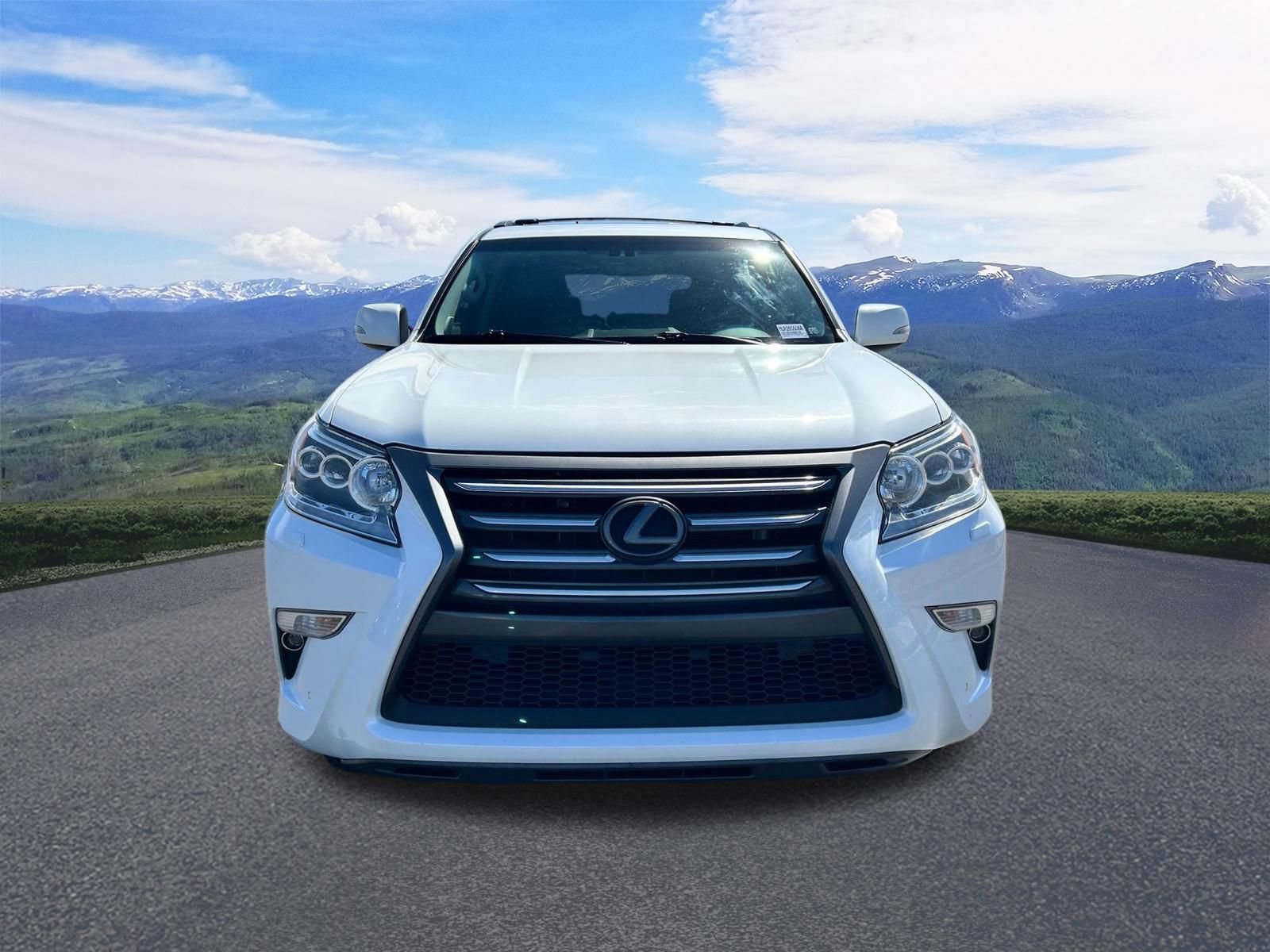 Used 2019 Lexus GX 460 Premium image 8