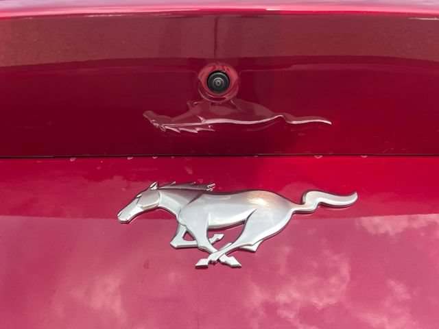 New 2026 Ford Mustang Premium RWD image 6