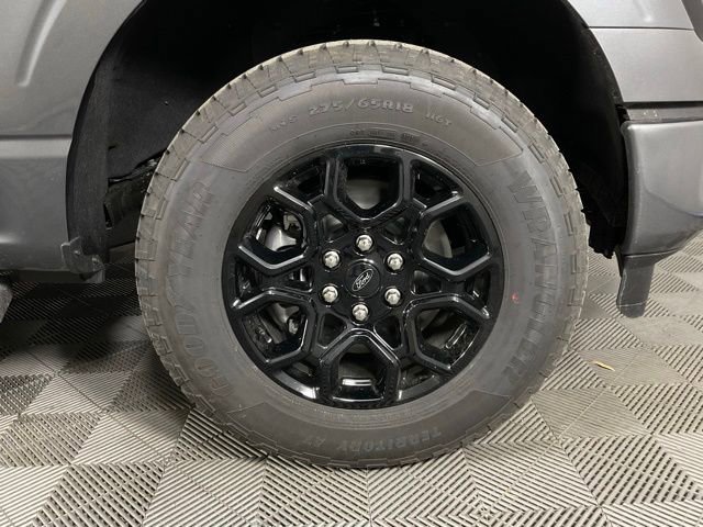 New 2026 Ford F150 XLT w/ Equipment Group 302A MID image 10