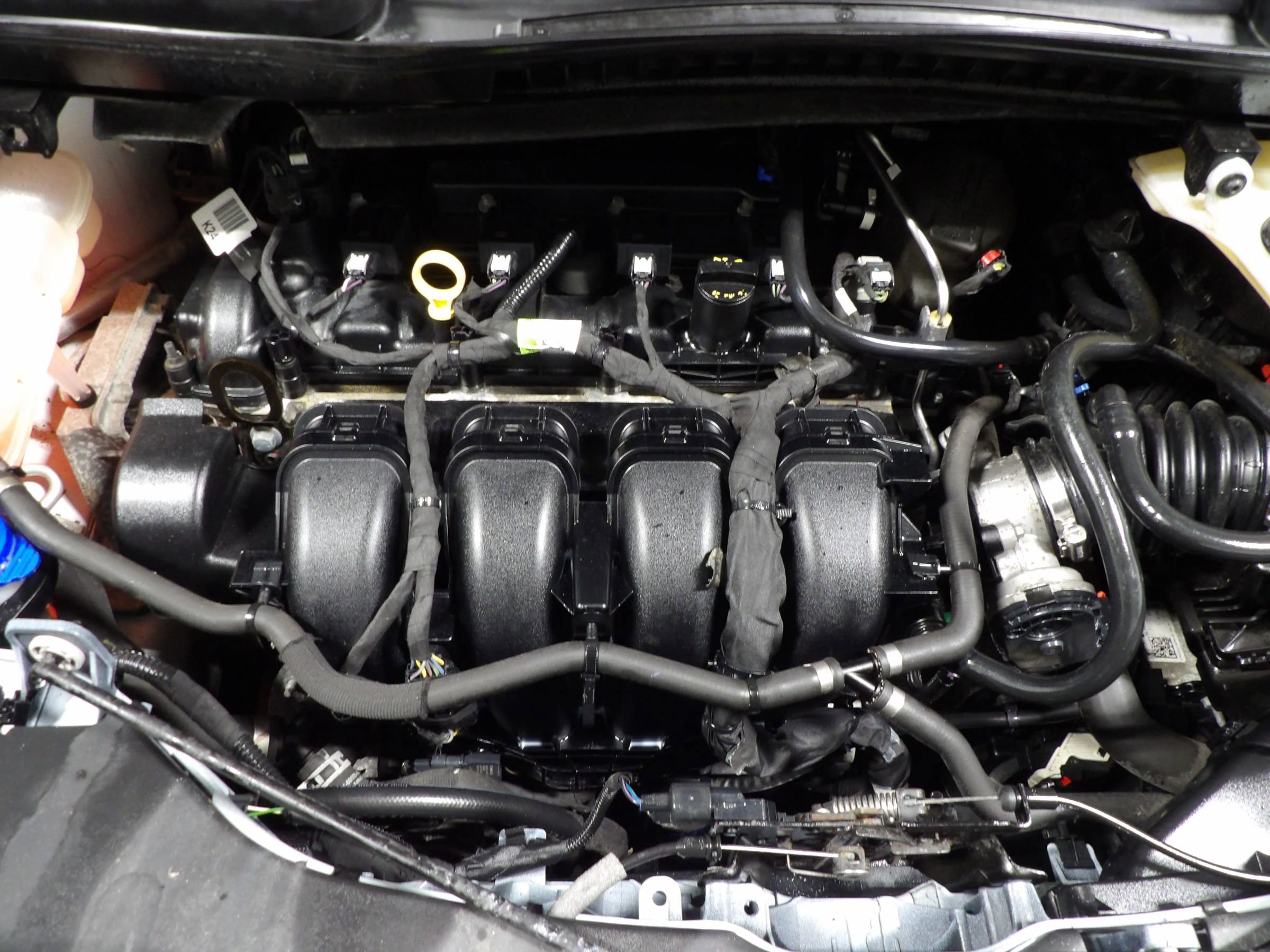 Used 2019 Ford Transit Connect XLT w/ Driver-Assist Package image 22