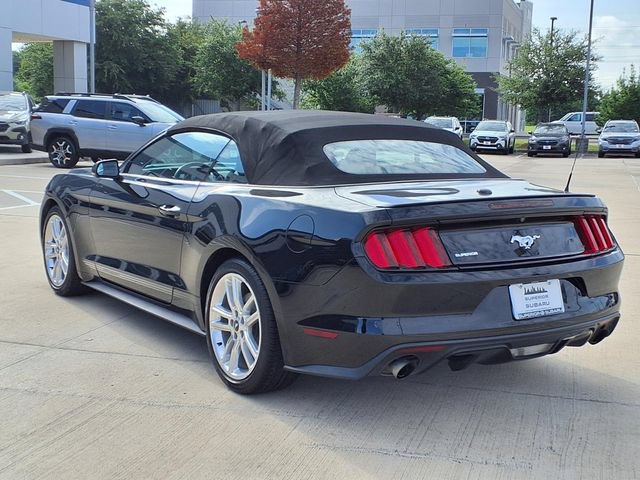 Used 2017 Ford Mustang Premium w/ Equipment Group 201A RWD video 2