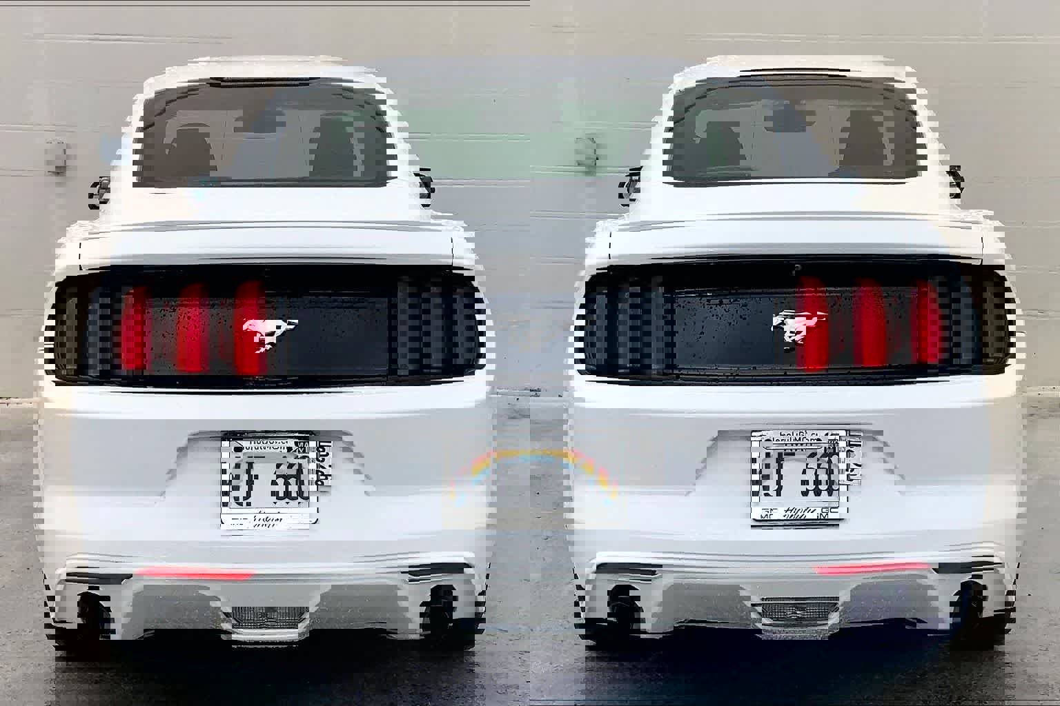 Used 2017 Ford Mustang EcoBoost image 6