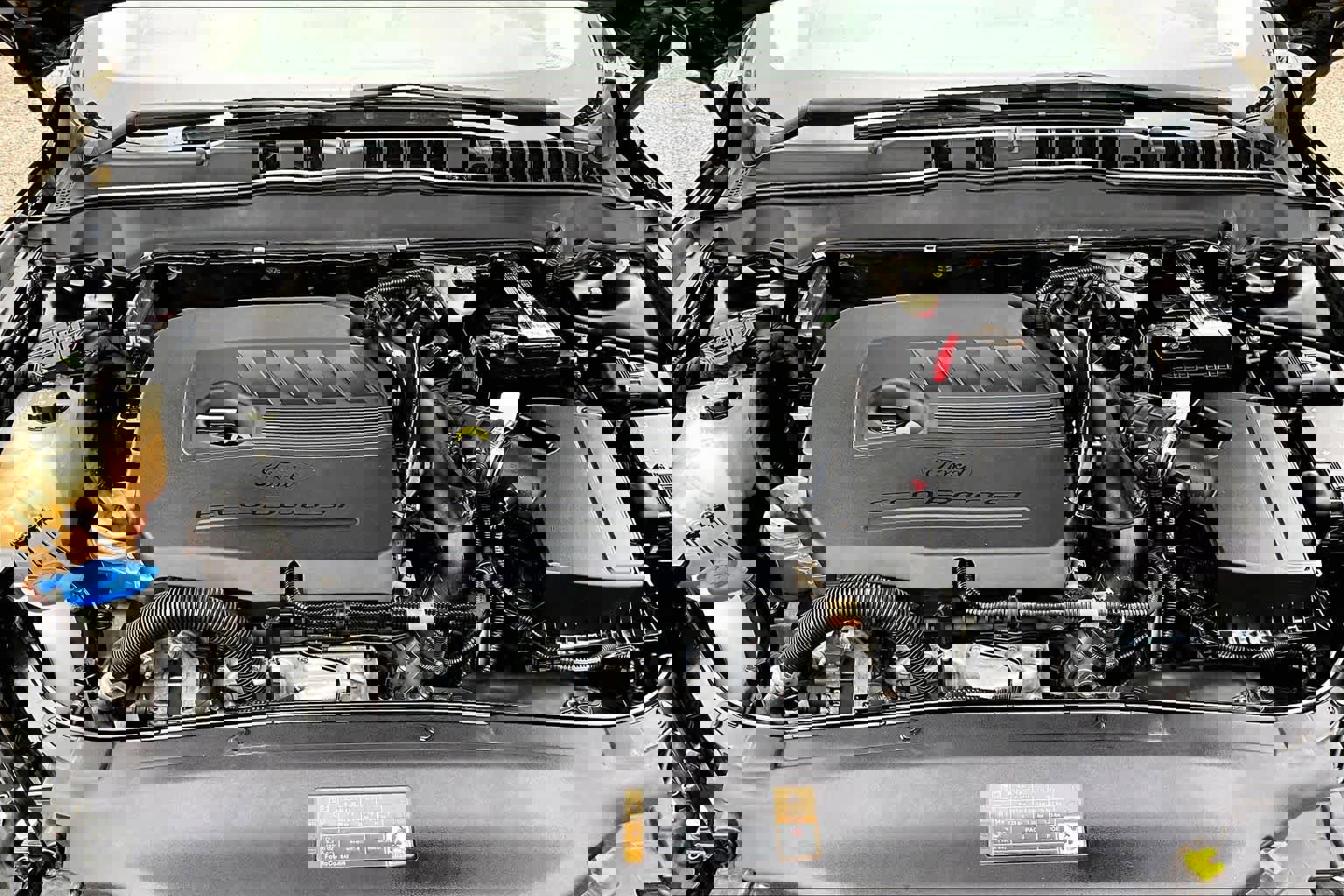 Used 2014 Ford Fusion SE w/ Equipment Group 202A image 31