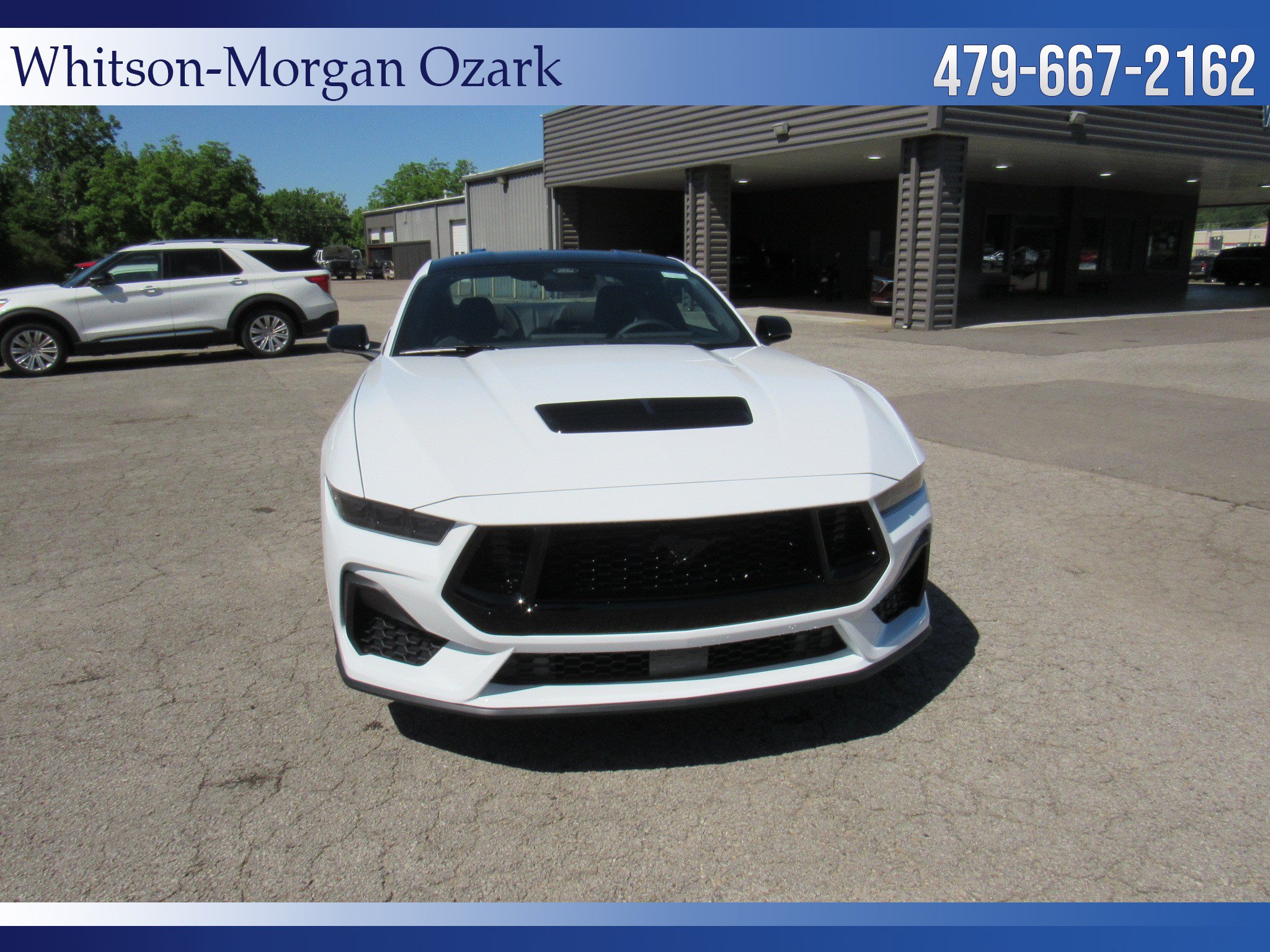 New 2026 Ford Mustang GT w/ Mustang Nite Pony Package RWD image 22