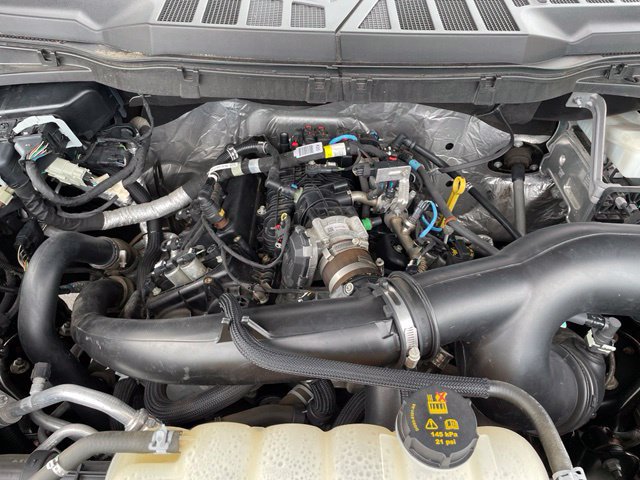 Used 2021 Ford F150 XL w/ STX Appearance Package AWD/4WD image 26