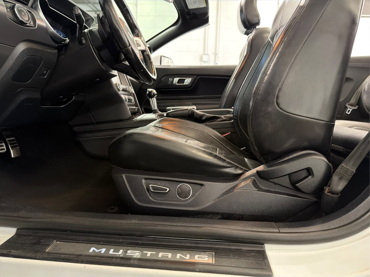 Used 2019 Ford Mustang GT Premium w/ Equipment Group 401A RWD image 22