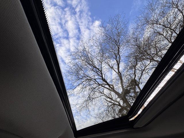 Used 2022 Nissan Rogue Sport SL w/ Premium Package image 29