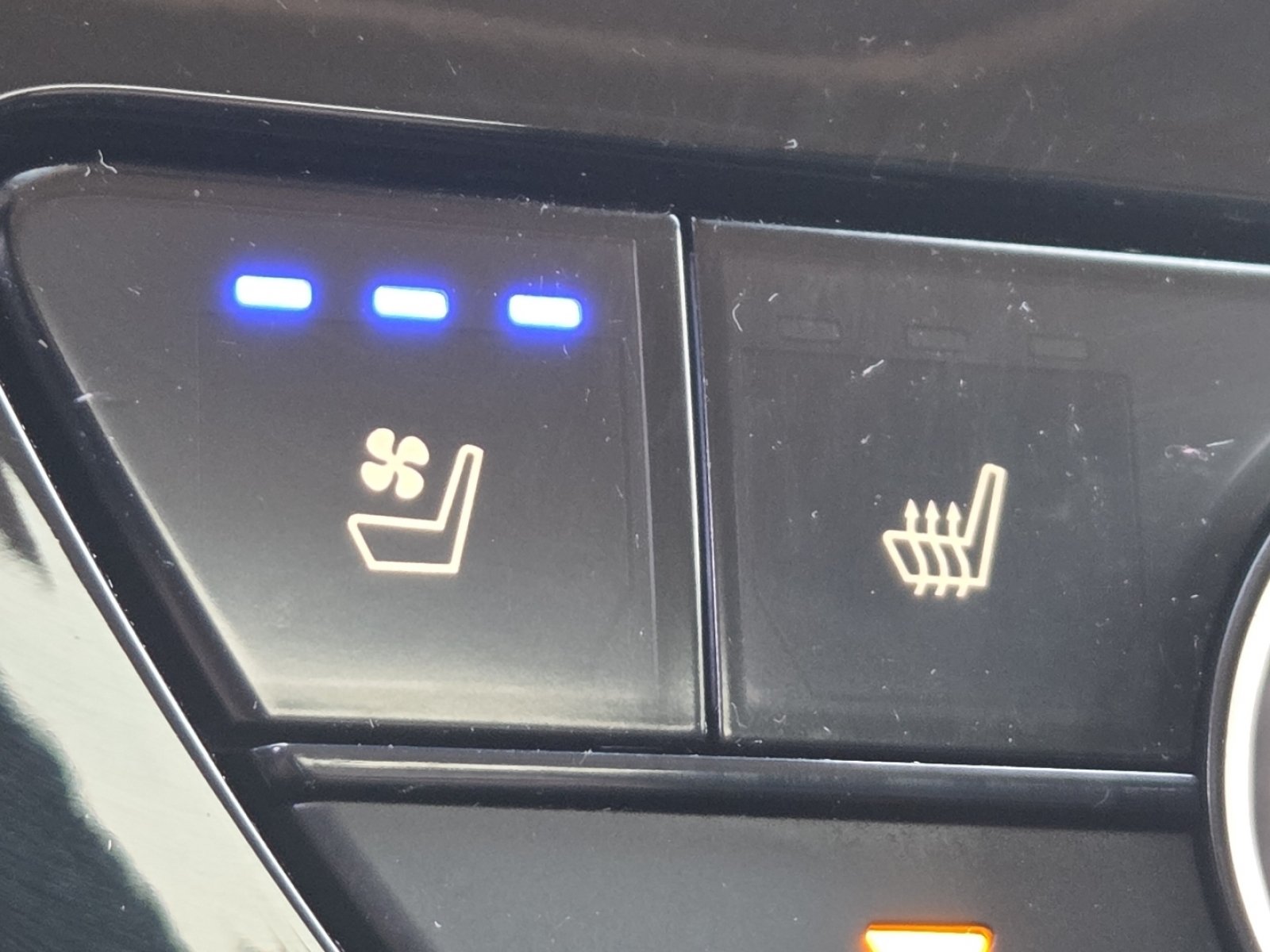 Used 2024 Honda Accord Touring image 6