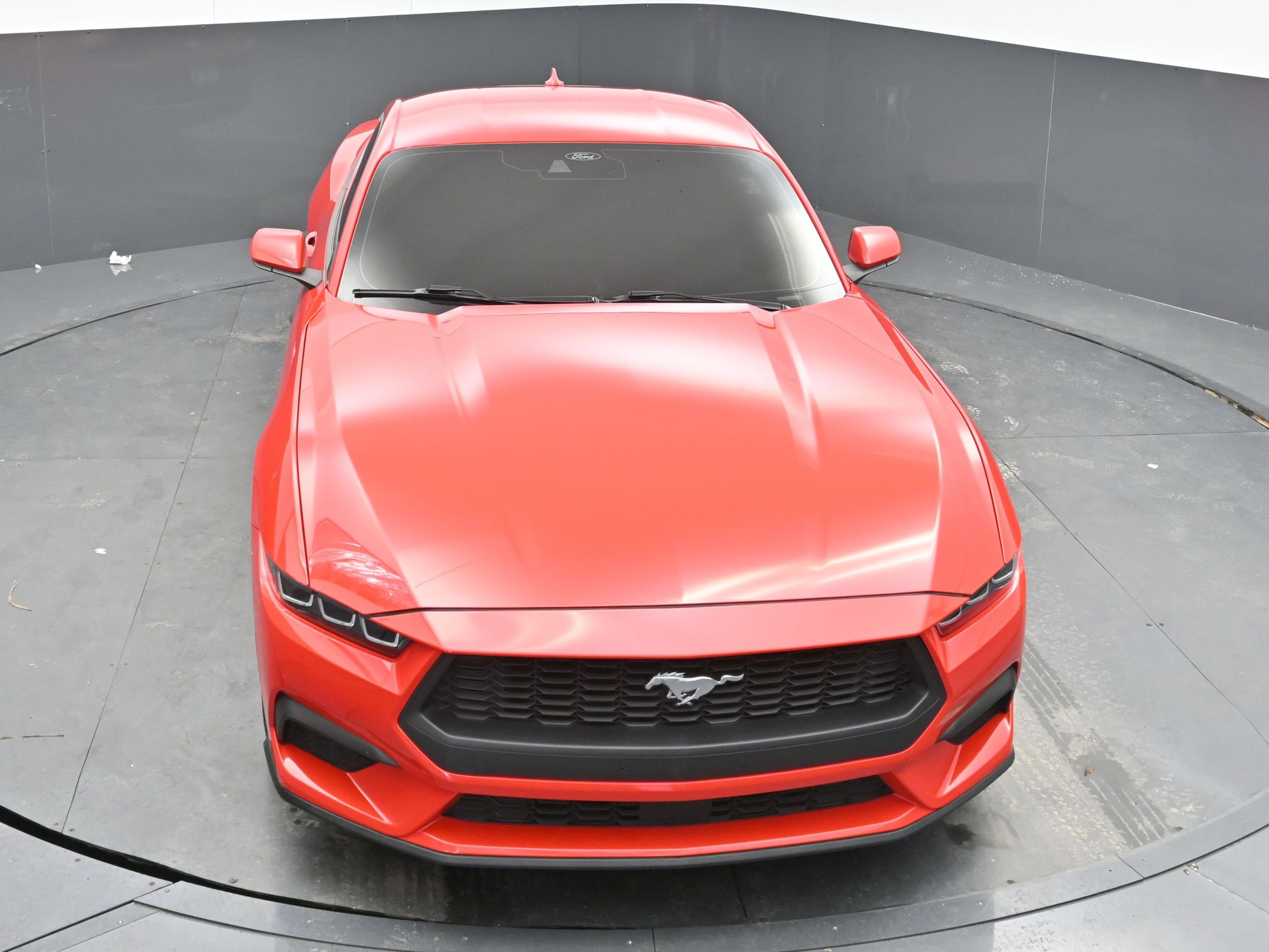 Used 2024 Ford Mustang EcoBoost image 27