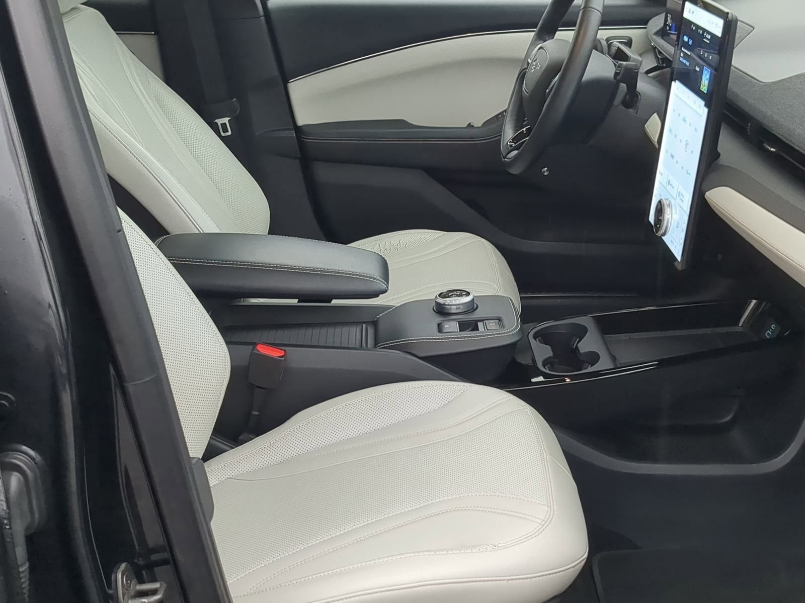 Used 2021 Ford Mustang Mach-E Premium image 25