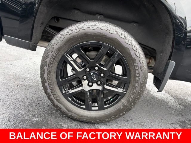Certified 2025 Chevrolet Silverado 1500 LT Trail Boss w/ Protection Package AWD/4WD image 7