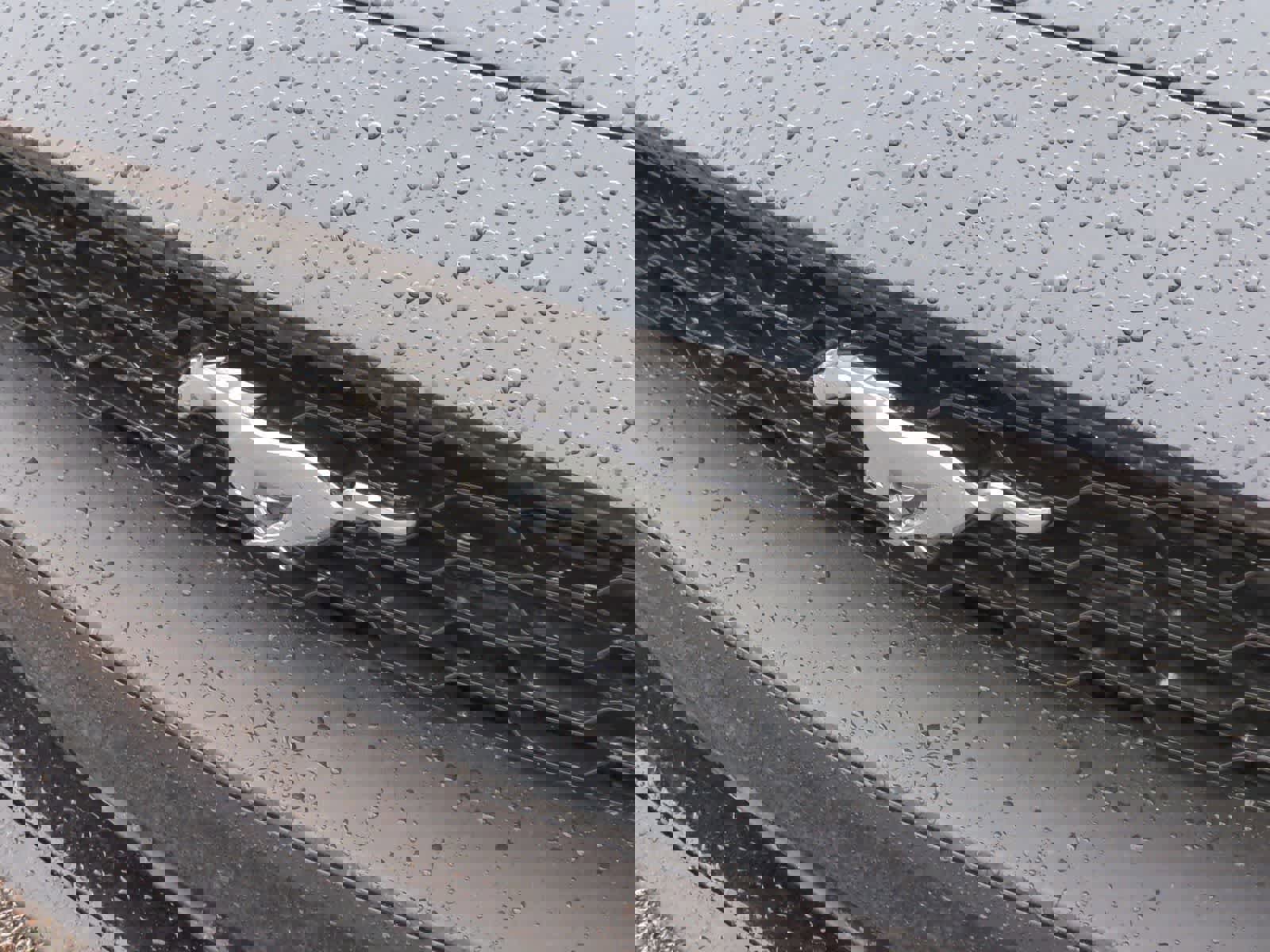 Used 2018 Ford Mustang EcoBoost w/ Equipment Group 101A image 13