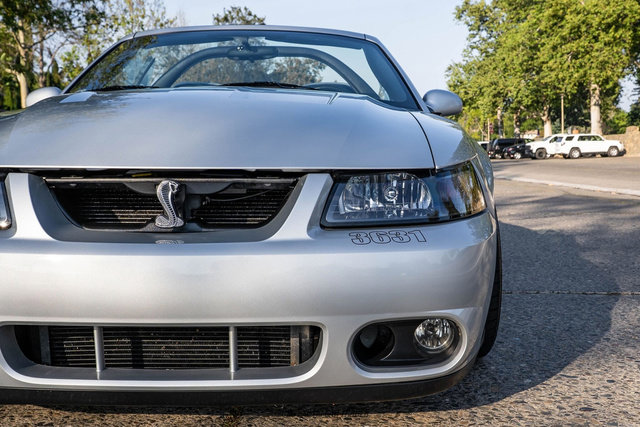 Used 2003 Ford Mustang Cobra RWD image 72