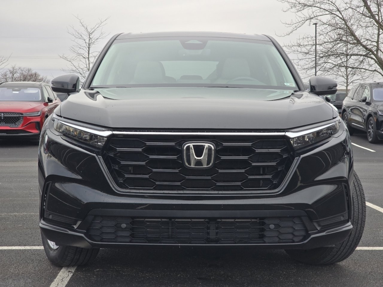 Certified 2024 Honda CR-V EX-L image 13