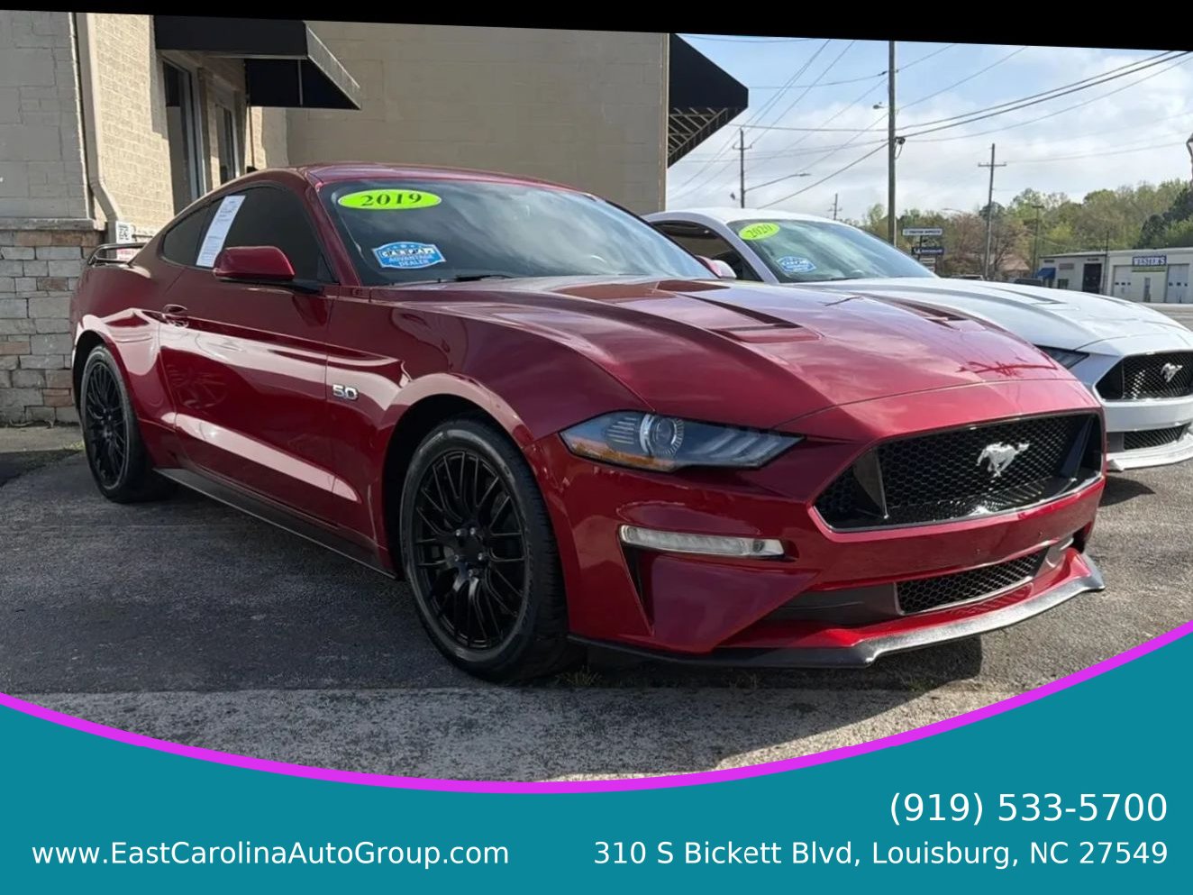 Used 2019 Ford Mustang GT w/ Equipment Group 301A RWD image 1