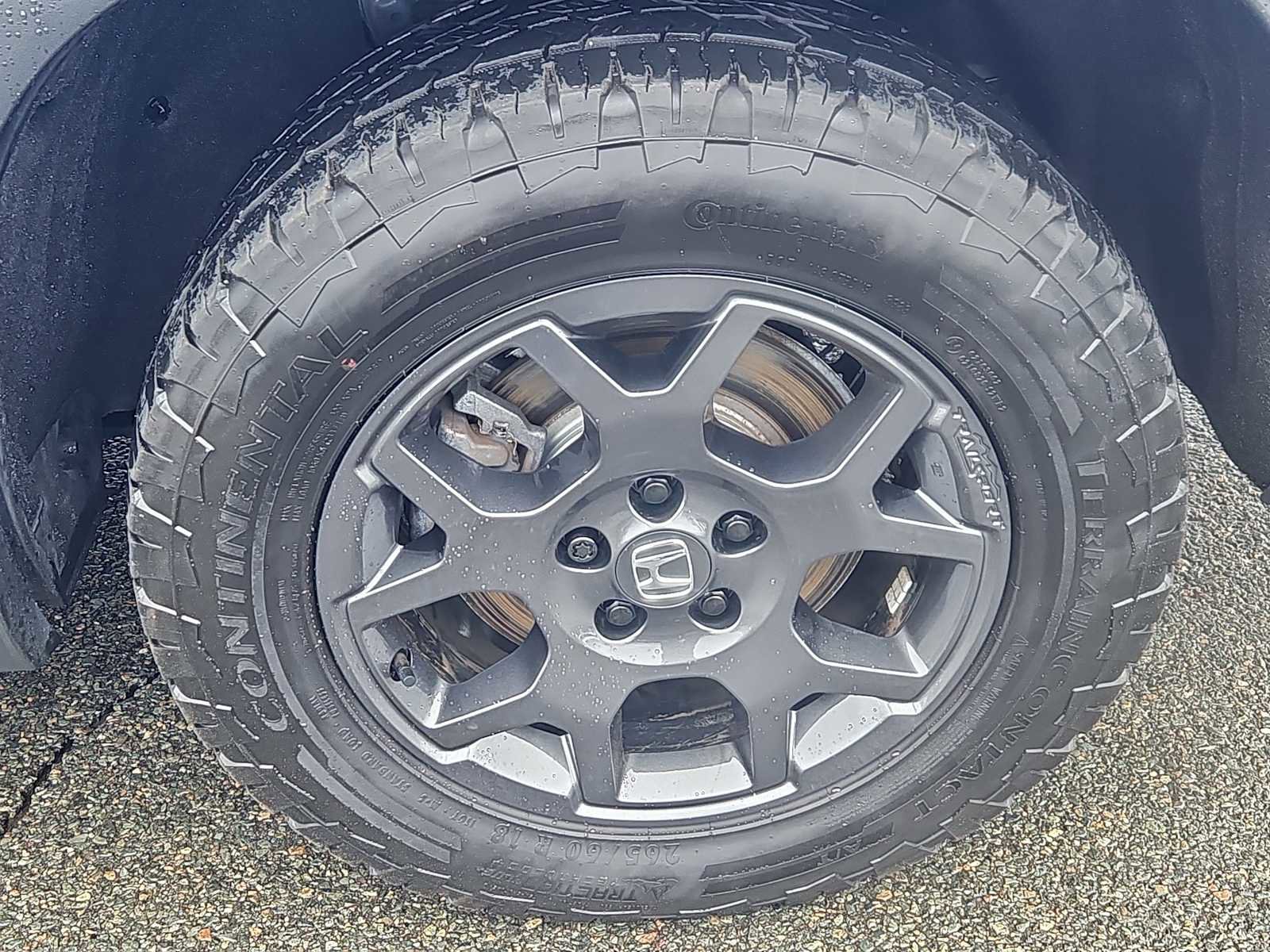 Certified 2024 Honda Pilot TrailSport image 8