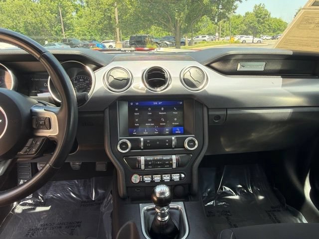 Used 2019 Ford Mustang GT w/ Equipment Group 301A RWD image 14